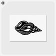 アートポストカード-Victorian Shell Engraving
 - 大英図書館 Postcard.
