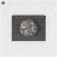 アートメモ帳-Athena Tetradrachm
 - セントルイス美術館 Memo.