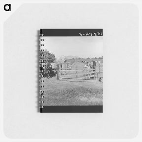アートメモ帳-Untitled photo - ドロテア ラング Memo.