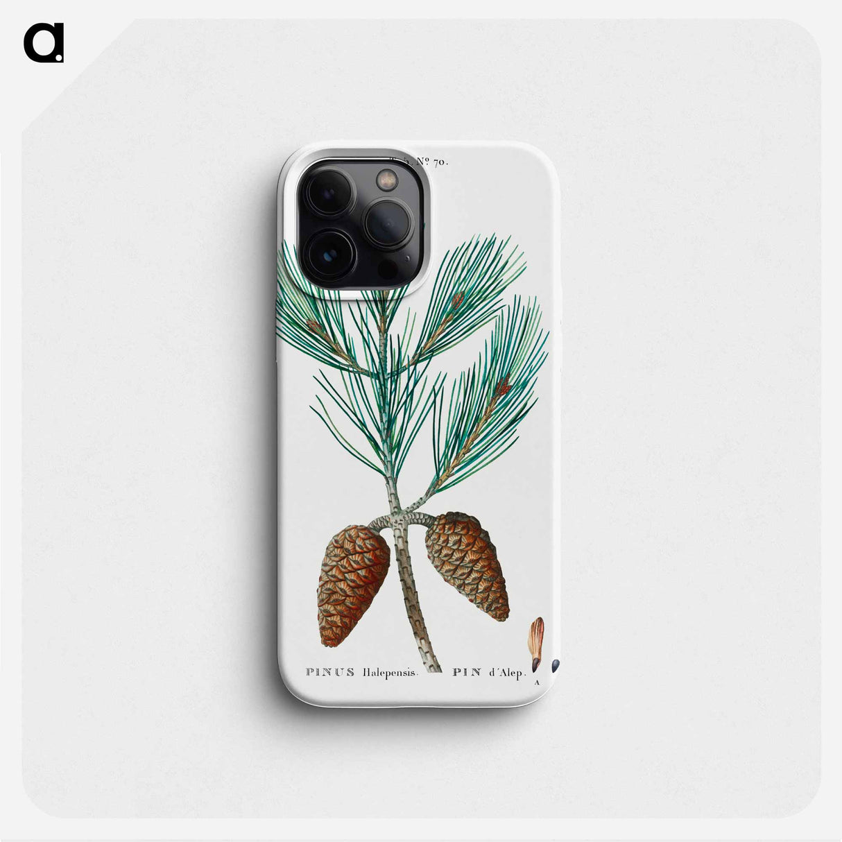 Aleppo pine - ピエール ジョゼフ ルドゥーテ Phone Case.