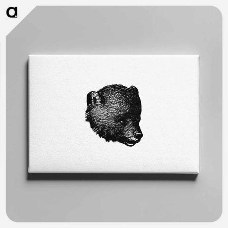 アートパネル-Bear from Woodland Romances
 - 大英図書館 Canvas.