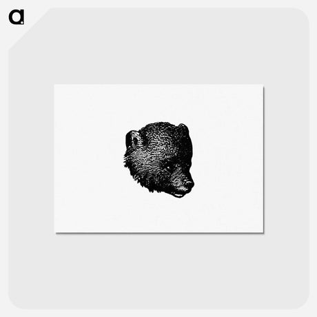 アートポストカード-Bear from Woodland Romances
 - 大英図書館 Postcard.