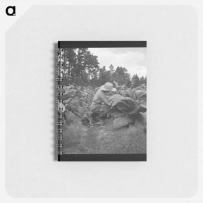 アートメモ帳-Untitled photo - ドロテア ラング Memo.