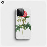 Bluish-Leaved Provins Rose - ピエール ジョゼフ ルドゥーテ Phone Case.