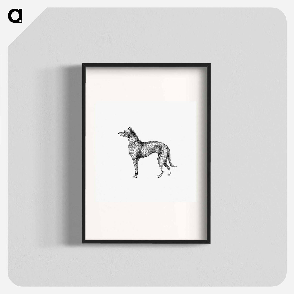 アートポスター-Scottish Deerhound from On the Domesticated Animals of the British Islands
 - 大英図書館 Poster.