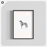 アートポスター-Scottish Deerhound from On the Domesticated Animals of the British Islands
 - 大英図書館 Poster.