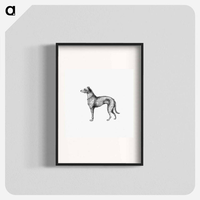 アートポスター-Scottish Deerhound from On the Domesticated Animals of the British Islands
 - 大英図書館 Poster.