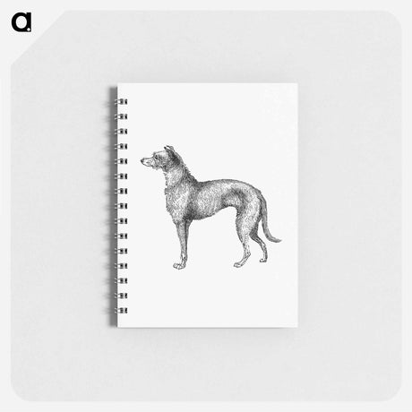 アートメモ帳-Scottish Deerhound from On the Domesticated Animals of the British Islands
 - 大英図書館 Memo.