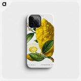 Citron (Citrus medica) - Pierre Joseph Redouté Phone Case.