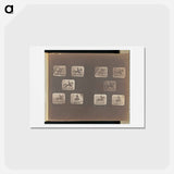 アートポストカード-Cantering
 - エドワード マイブリッジ Postcard.