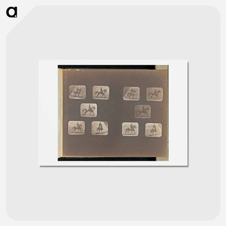 アートポストカード-Cantering
 - エドワード マイブリッジ Postcard.