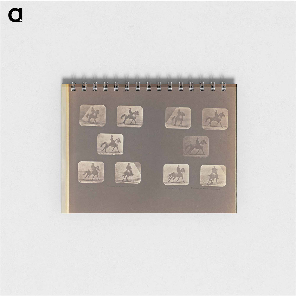 アートメモ帳-Cantering
 - エドワード マイブリッジ Memo.