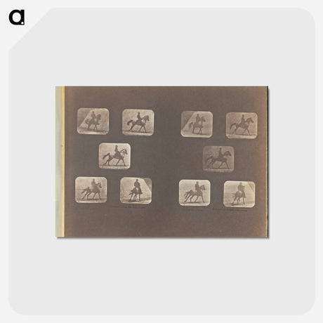 アートポストカード-Cantering
 - エドワード マイブリッジ Postcard.