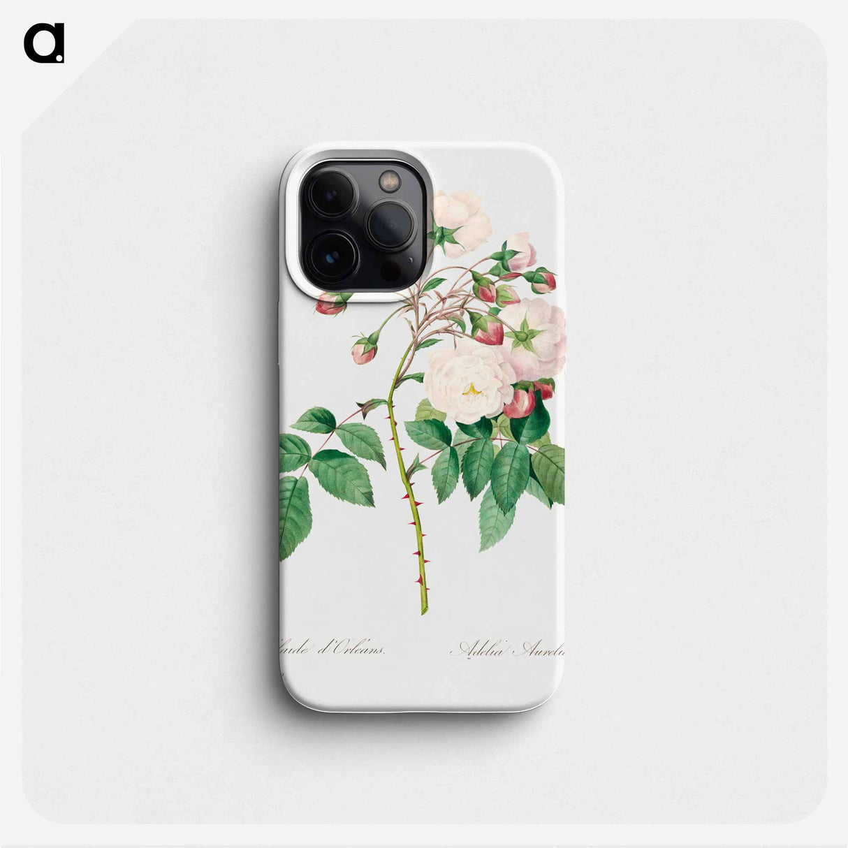 Rose adelaide - Pierre Joseph Redouté Phone Case.