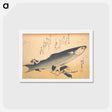 アートポストカード-Bora Fish with Camellia, from the series Uozukushi (Every Variety of Fish)
 - 歌川 広重 Postcard.