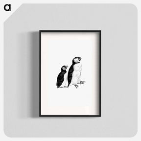 アートポスター-Victorian Style Penguins Engraving
 - 大英図書館 Poster.