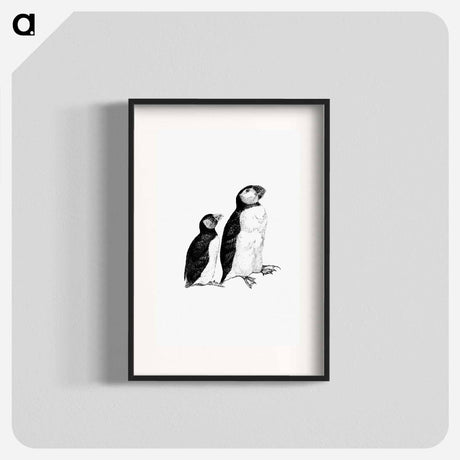 アートポスター-Victorian Style Penguins Engraving
 - 大英図書館 Poster.