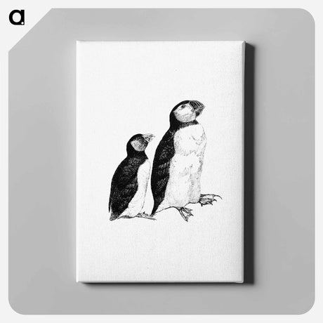アートパネル-Victorian Style Penguins Engraving
 - 大英図書館 Canvas.