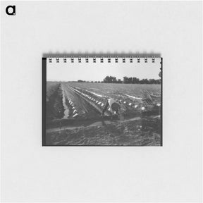 アートメモ帳-Irrigator in brushed and capped cantaloupe field - ドロテア ラング Memo.