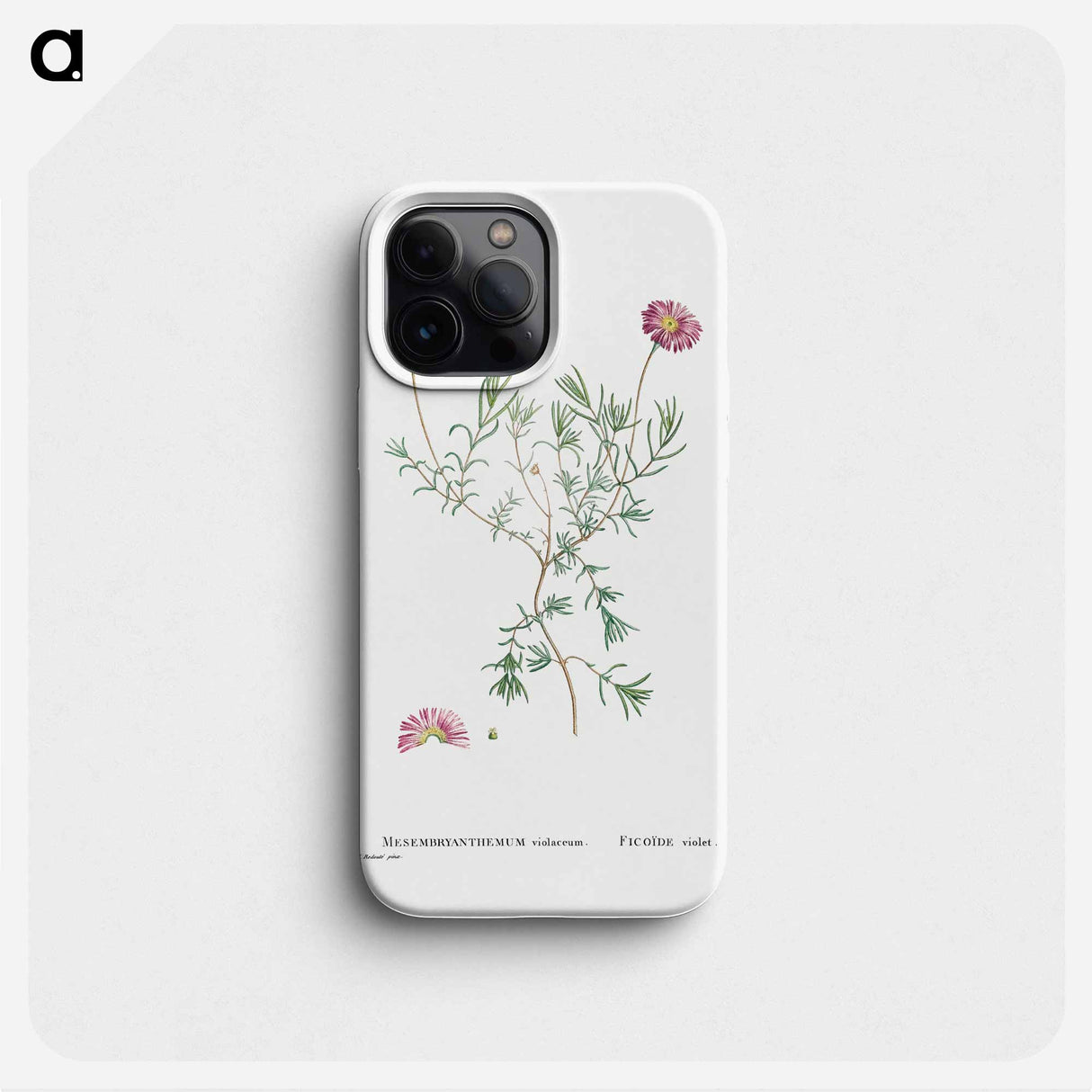 Mesembryanthemum Violaceum - Pierre Joseph Redouté Phone Case.