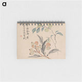 アートメモ帳-Loquat Tree of Japan
 - クリーブランド美術館 Memo.