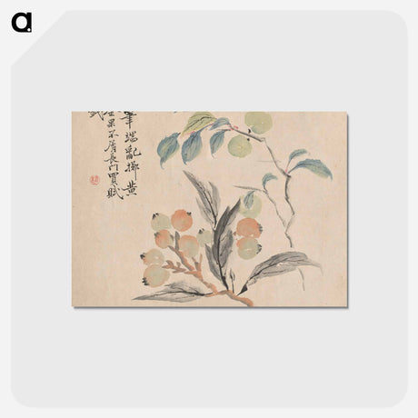 アートポストカード-Loquat Tree of Japan
 - クリーブランド美術館 Postcard.