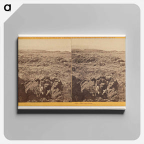 アートパネル-The Lava Beds
 - エドワード マイブリッジ Canvas.