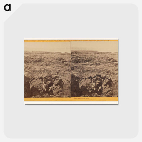 アートポストカード-The Lava Beds
 - エドワード マイブリッジ Postcard.