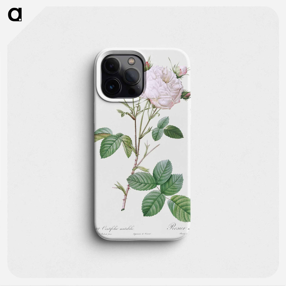 Cabbage Rose White Provence - Pierre Joseph Redouté Phone Case.