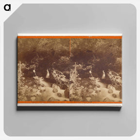 アートパネル-Great Geyser Springs
 - エドワード マイブリッジ Canvas.