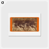 アートポストカード-Great Geyser Springs
 - エドワード マイブリッジ Postcard.