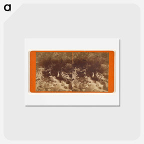 アートポストカード-Great Geyser Springs
 - エドワード マイブリッジ Postcard.