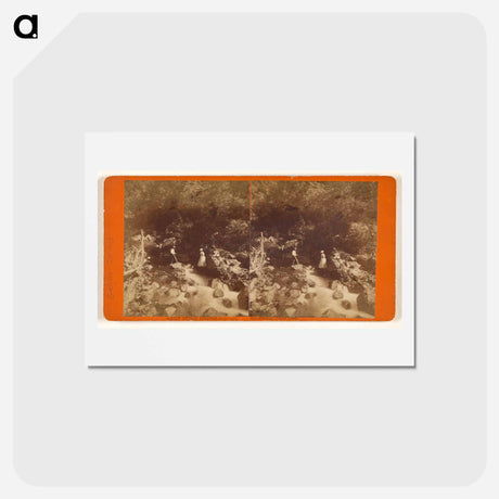 アートポストカード-Great Geyser Springs
 - エドワード マイブリッジ Postcard.