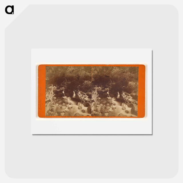 アートポストカード-Great Geyser Springs
 - エドワード マイブリッジ Postcard.