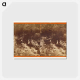 アートポストカード-Great Geyser Springs
 - エドワード マイブリッジ Postcard.