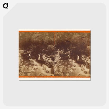 アートポストカード-Great Geyser Springs
 - エドワード マイブリッジ Postcard.