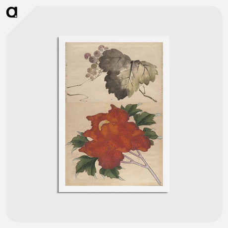 アートポストカード-Album of Sketches - 葛飾 北斎 Postcard.