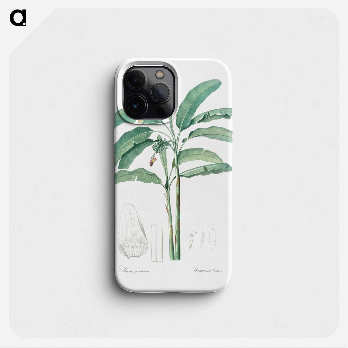 Banana illustration from Les liliacées - Pierre Joseph Redouté Phone Case.