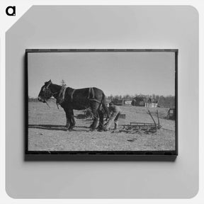 アートパネル-Cutting Sugarcane
 - ラッセル リー Canvas.