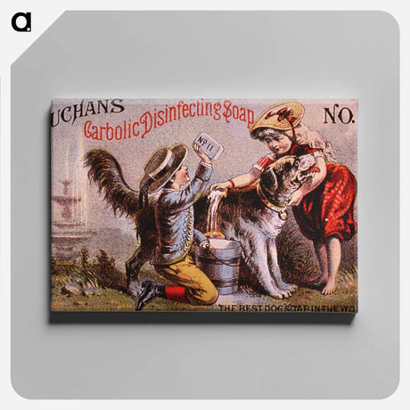 アートパネル-Buchan's Carbolic Disinfecting Soap No. 11
 - 国立医学図書館 Canvas.