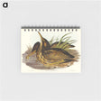 アートメモ帳-Australian Bittern
 - オーストラリアの鳥 Memo.