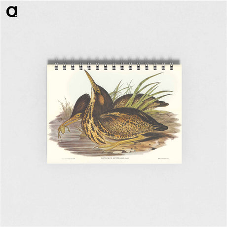 アートメモ帳-Australian Bittern
 - オーストラリアの鳥 Memo.