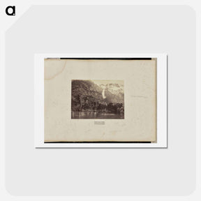アートポストカード-Yo-Sem-i-te Valley
 - エドワード マイブリッジ Postcard.