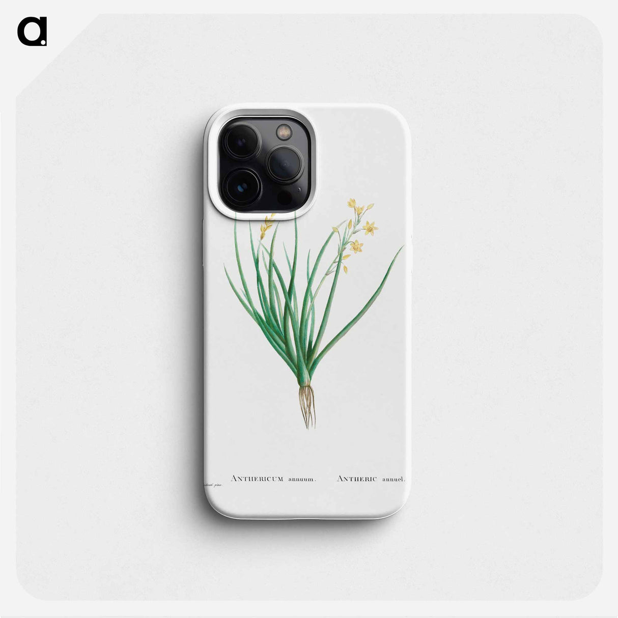 Anthericum Annuum - ピエール ジョゼフ ルドゥーテ Phone Case.