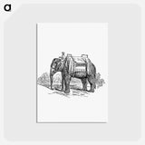 アートポストカード-Elephant Ride from Lays of India
 - 大英図書館 Postcard.
