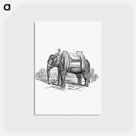 アートポストカード-Elephant Ride from Lays of India
 - 大英図書館 Postcard.