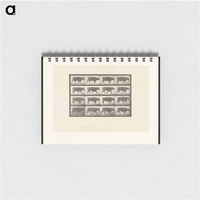 アートメモ帳-Ox Walking
 - エドワード マイブリッジ Memo.