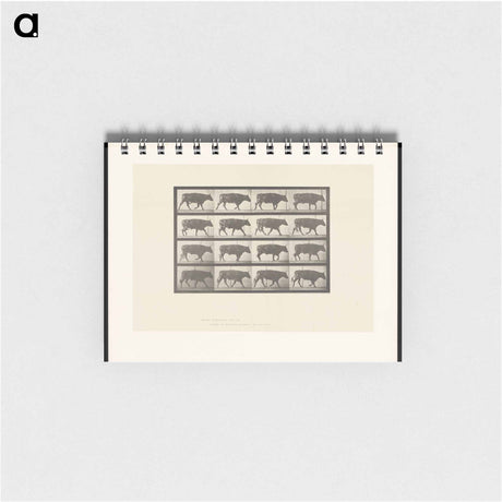 アートメモ帳-Ox Walking
 - エドワード マイブリッジ Memo.