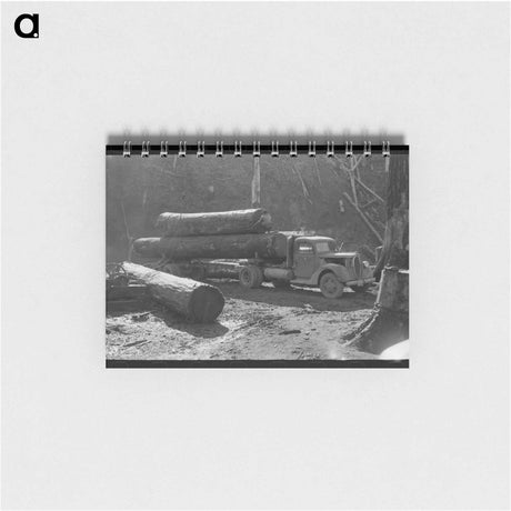 アートメモ帳-Strapping Cow Legs
 - ラッセル リー Memo.