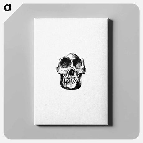 アートパネル-Equatorial African Skull
 - 大英図書館 Canvas.